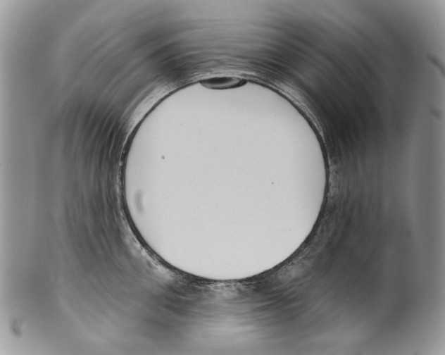 X0000099540906200806131146