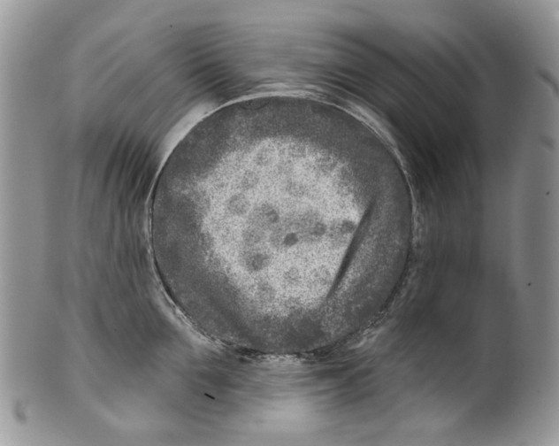 X0000099540907200806131146