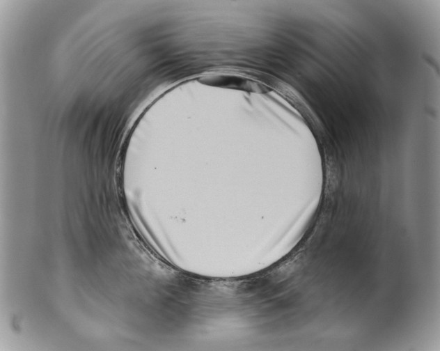 X0000099540908200806131146