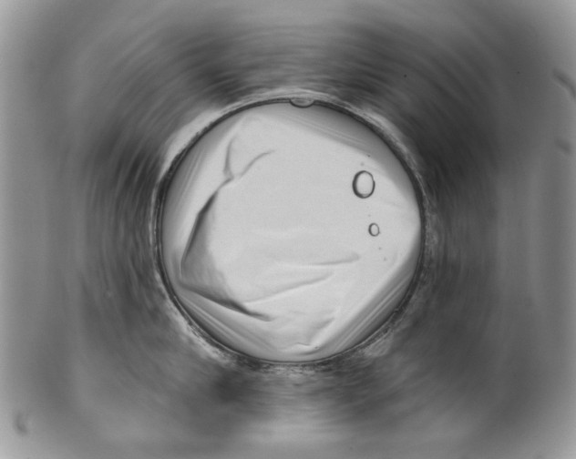 X0000099540910200806131146