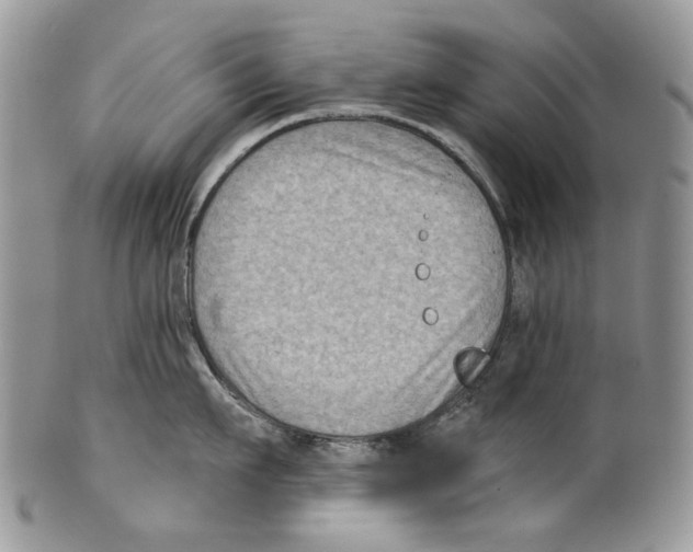 X0000099540911200806131146