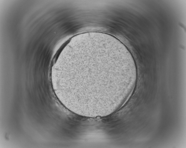 X0000099540912200806131146