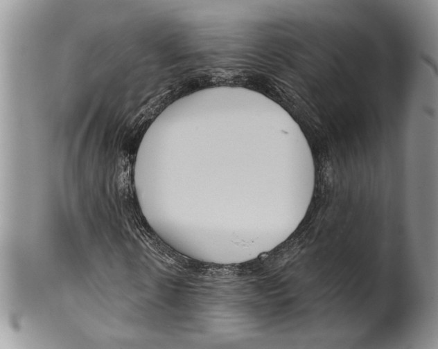 X0000099540914200806131145