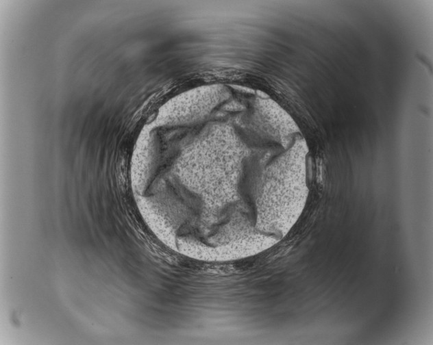 X0000099540915200806131145