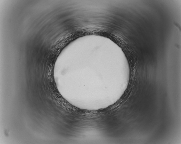 X0000099540917200806131145