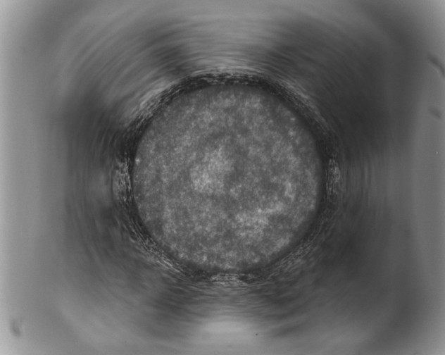 X0000099540918200806131145