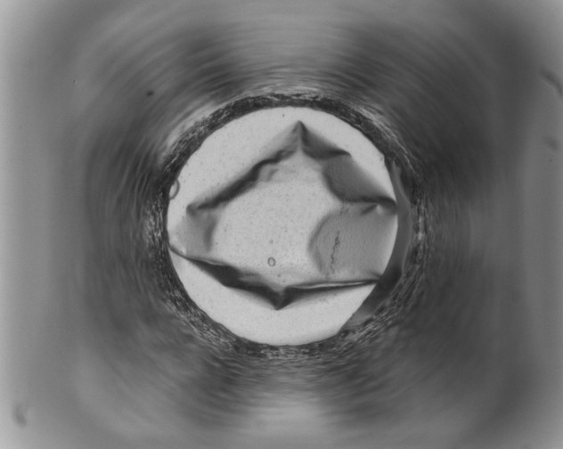 X0000099540920200806131146