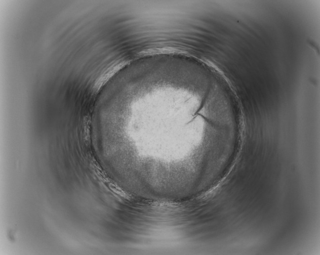 X0000099540921200806131146