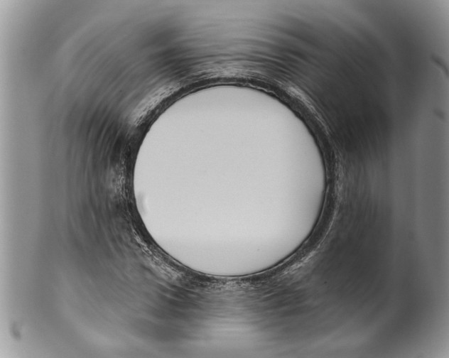 X0000099540922200806131146