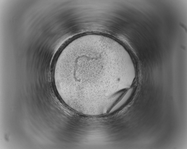 X0000099540924200806131146