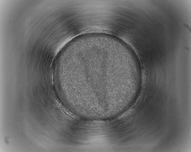 X0000099540925200806131146