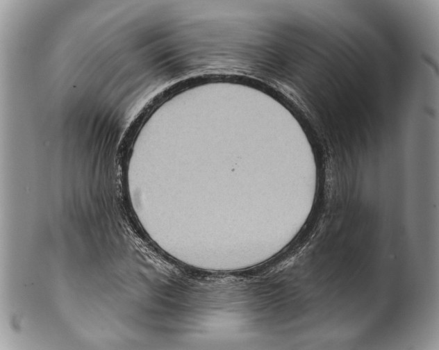 X0000099540926200806131146