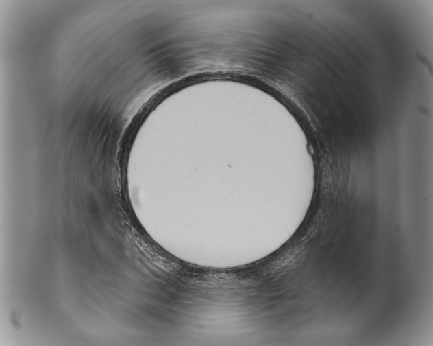 X0000099540927200806131146