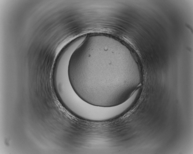 X0000099540928200806131146