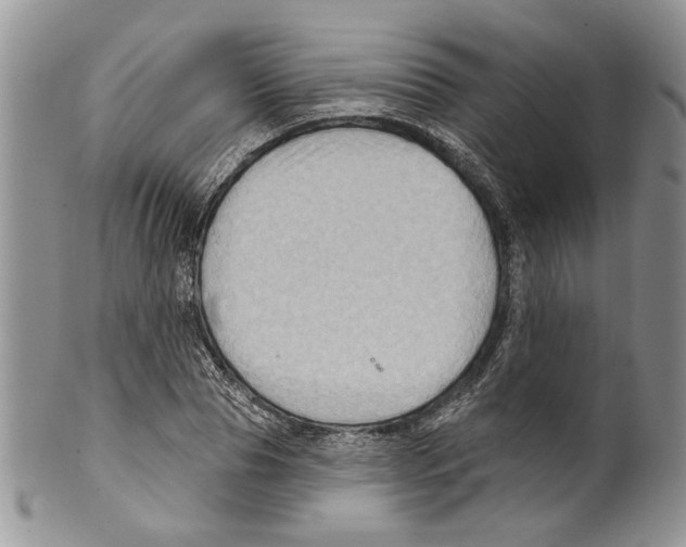 X0000099540929200806131146