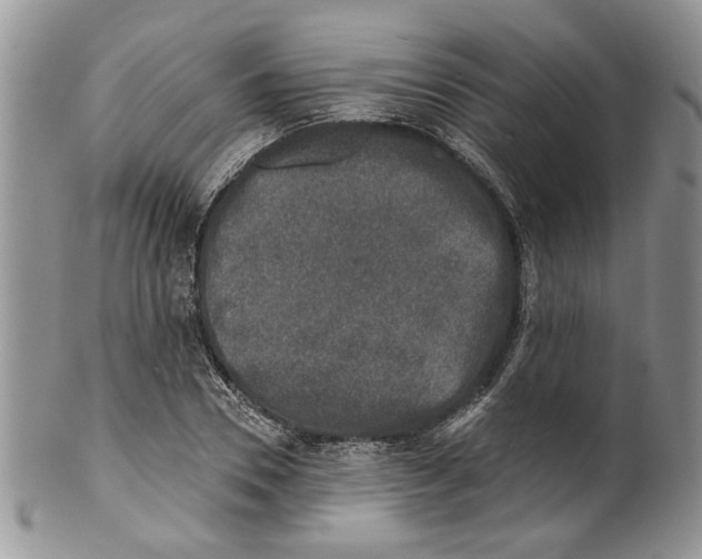 X0000099540930200806131146