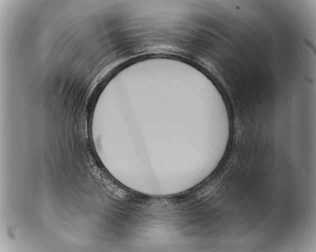 X0000099540931200806131146