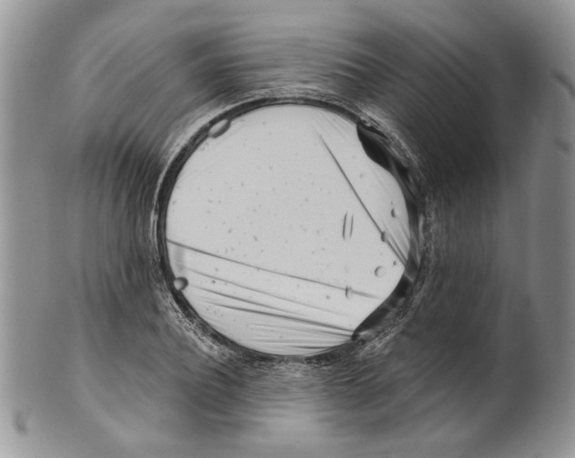 X0000099540932200806131146