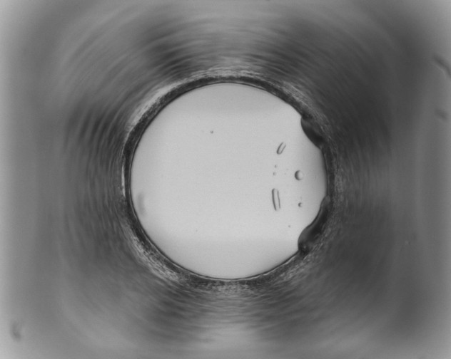 X0000099540934200806131146