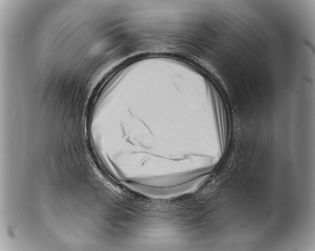 X0000099540935200806131146