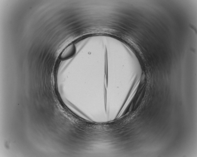 X0000099540936200806131146