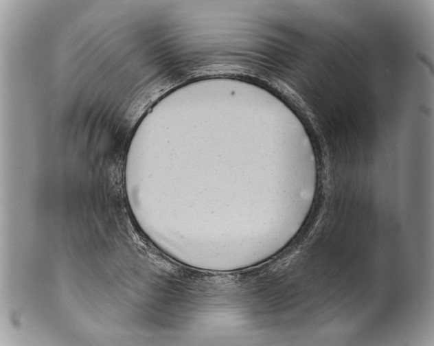 X0000099540937200806131146