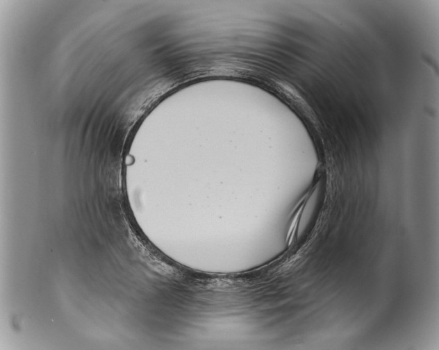 X0000099540938200806131146