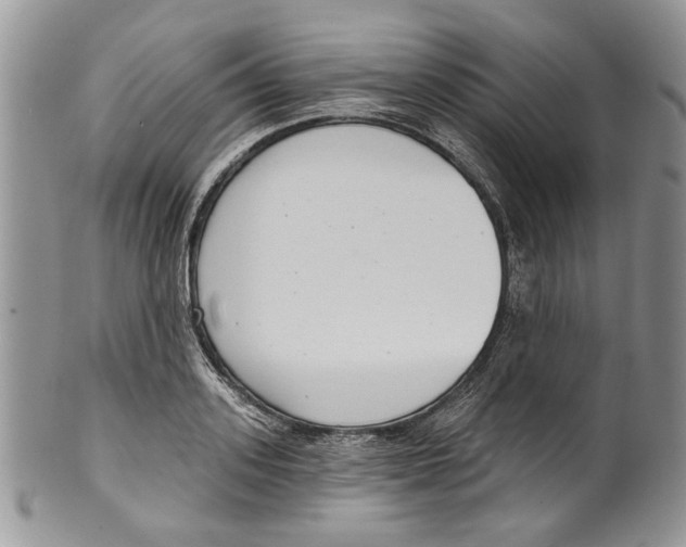 X0000099540939200806131146