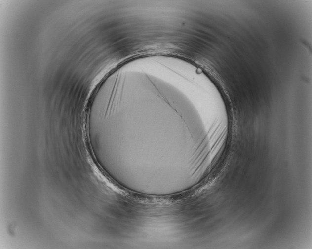 X0000099540941200806131146