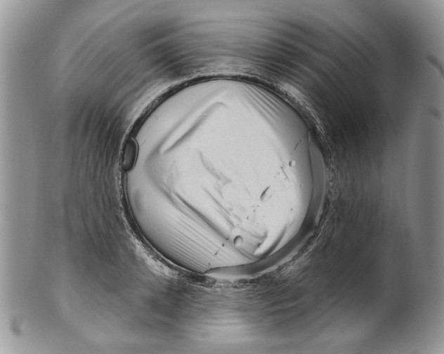 X0000099540942200806131146