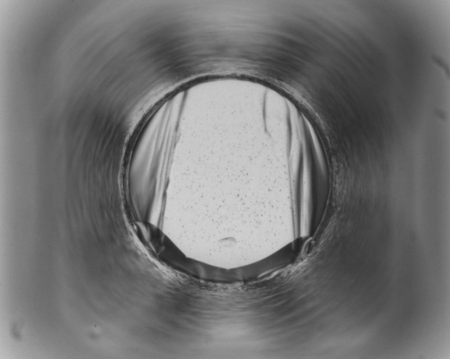 X0000099540943200806131146