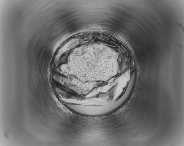 X0000099540944200806131146