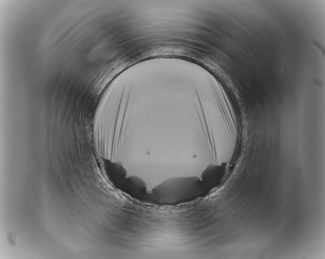 X0000099540945200806131146