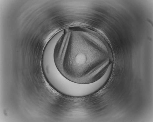 X0000099540946200806131146