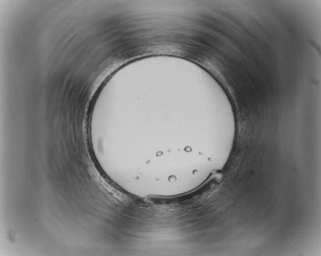 X0000099540947200806131146