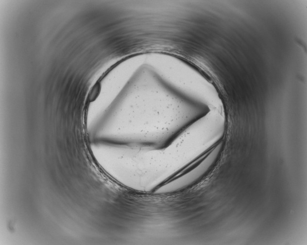 X0000099540948200806131146