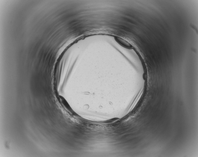 X0000099540949200806131146