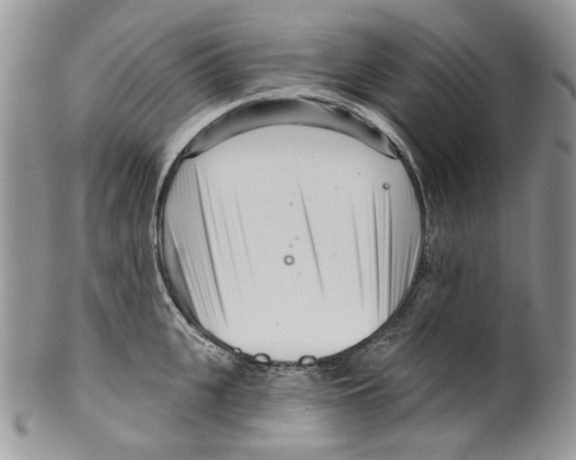 X0000099540951200806131146