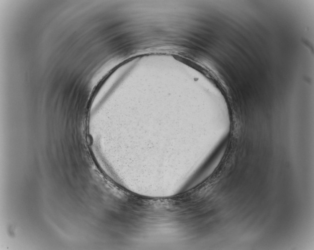 X0000099540952200806131146