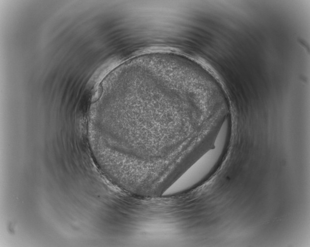 X0000099540953200806131146