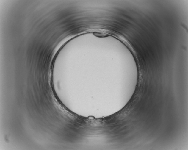 X0000099540955200806131146