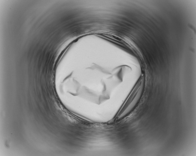 X0000099540956200806131146