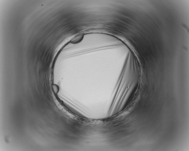 X0000099540957200806131146