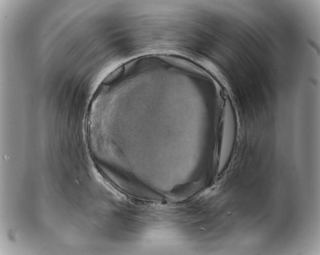 X0000099540958200806131146