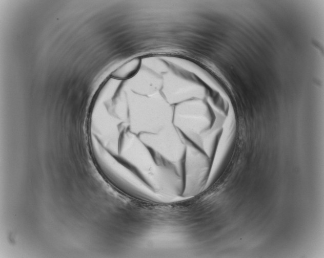 X0000099540959200806131146