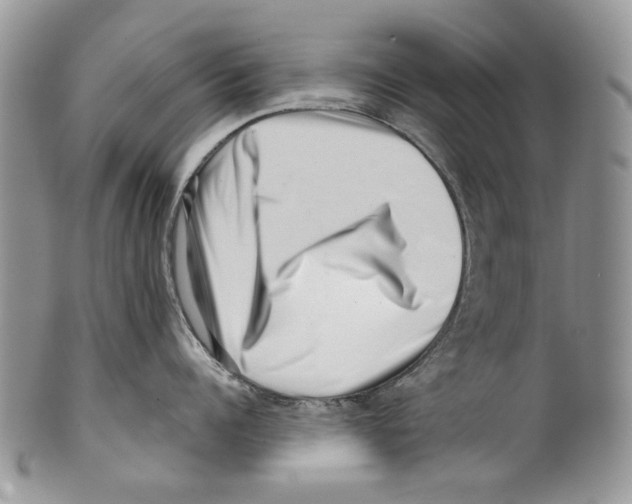 X0000099540960200806131146