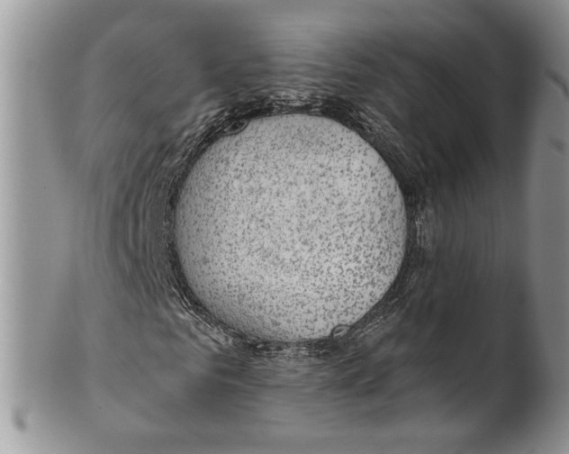 X0000099540961200806131145