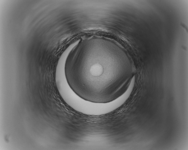 X0000099540965200806131145