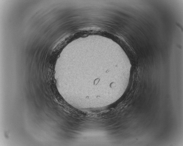 X0000099540967200806131145