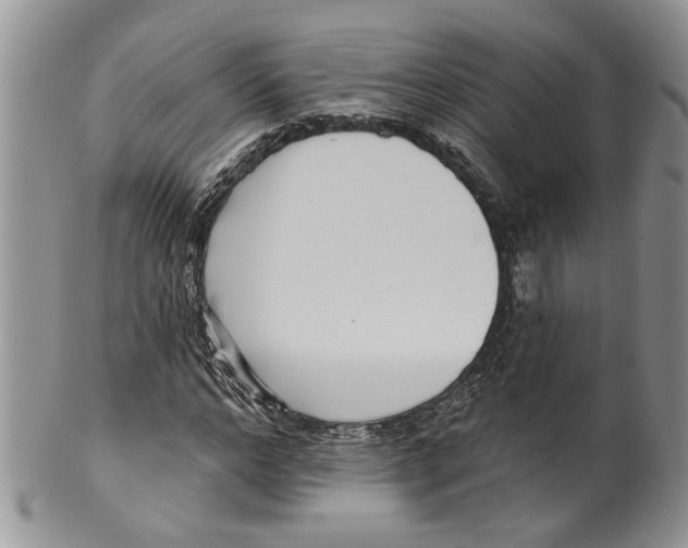 X0000099540968200806131145